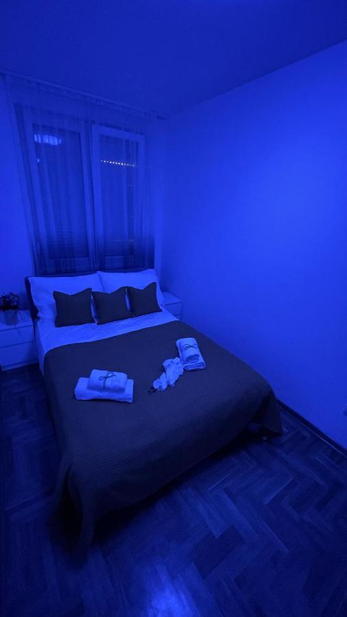 Appartement Paunov Breg à Belgrade Extérieur photo