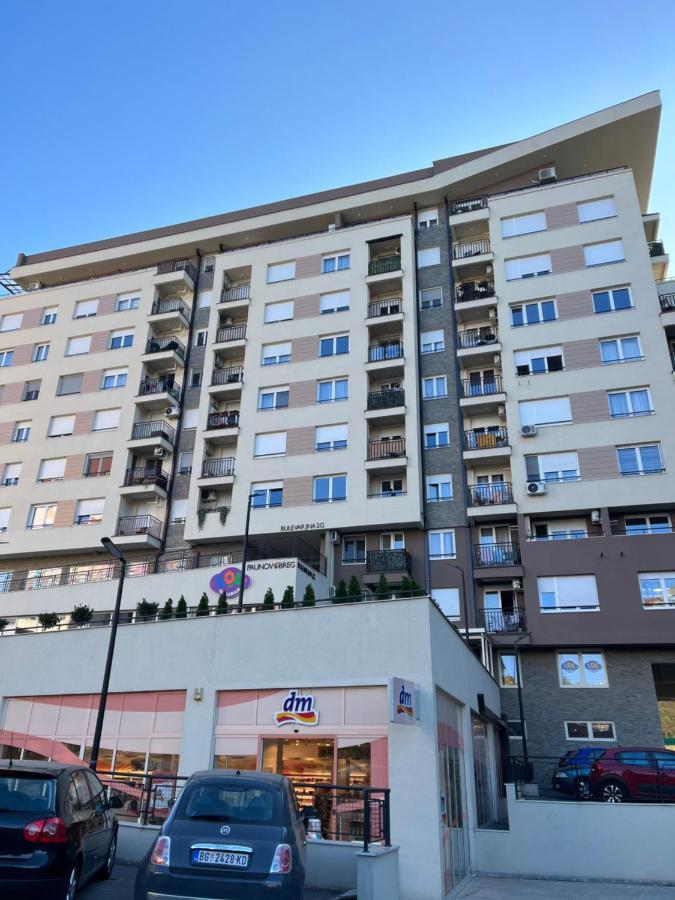 Appartement Paunov Breg à Belgrade Extérieur photo